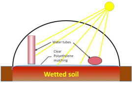 21.03wetted soil