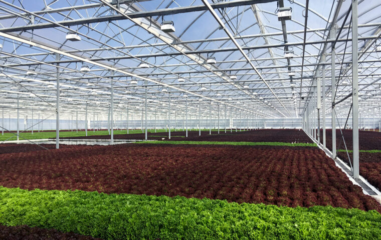 The VentilationJet System® – GREENHOUSE NEWS