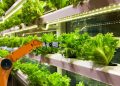 smart robotic farmers in agriculture futuristic robot automation to vegetable farm stockpack istock 1044x686 1