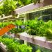 smart robotic farmers in agriculture futuristic robot automation to vegetable farm stockpack istock 1044x686 1