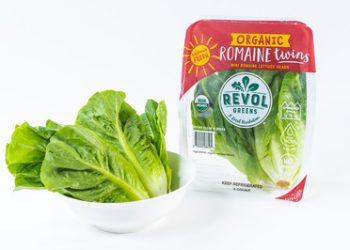 Revol greens ganda na sustainable, kamampuhan produksi romaine rumah kaca-Grown