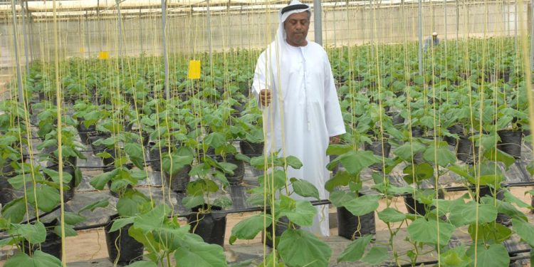 Център за услуги на фермери в Абу Даби