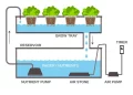 Hydroponic Growing Systems 800x694 1
