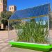 Celulas solares semitransparentes invernaderos