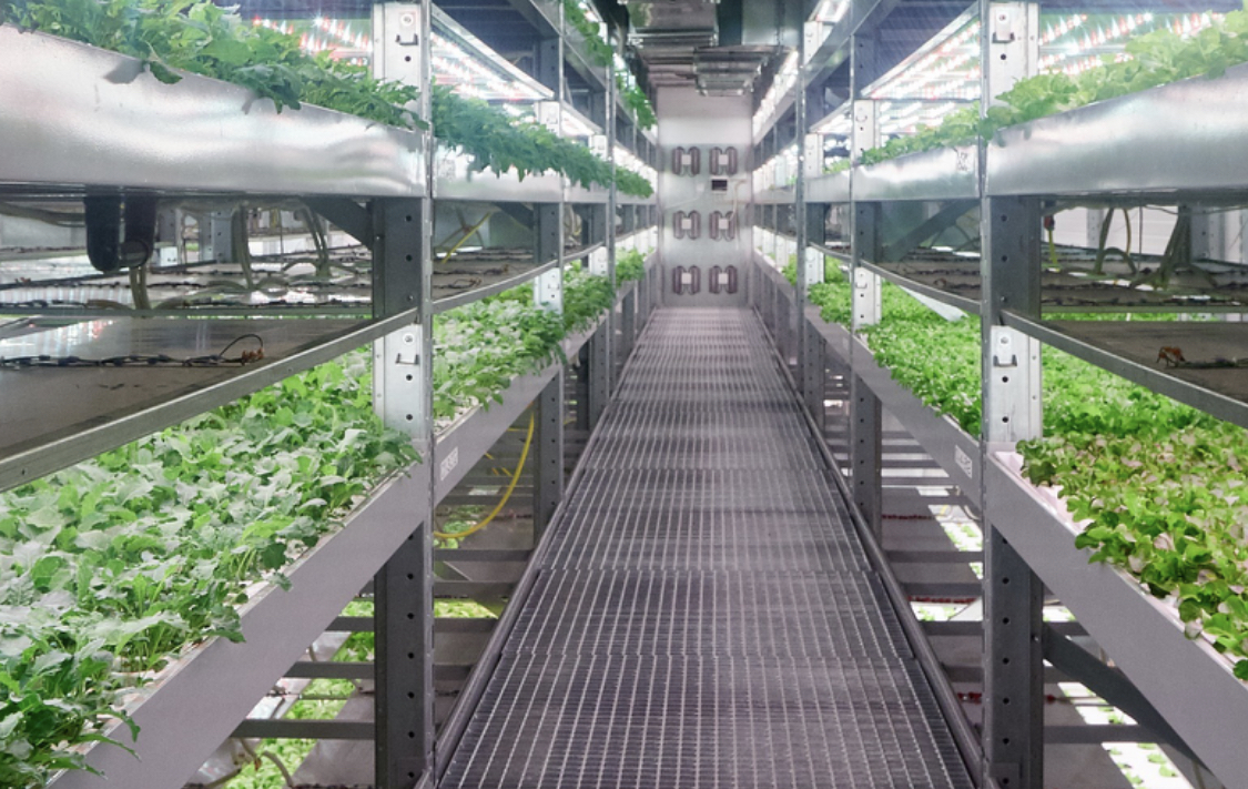 Chechen Developers To Implement Vertical Farming In Indonesia ...