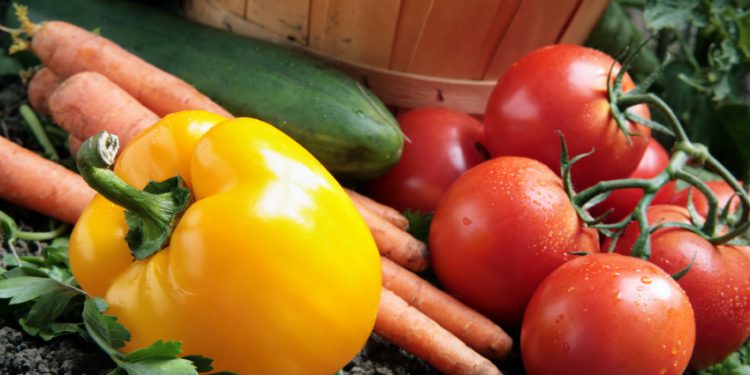 Vegetables in a garden.  Selective focus on stem of yellow pepper