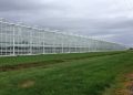 web1 windset greenhouse