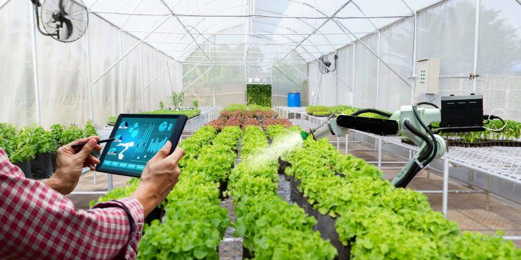 Albero automatico delle piante di irrigazione del braccio del robot di tecnologia agricola